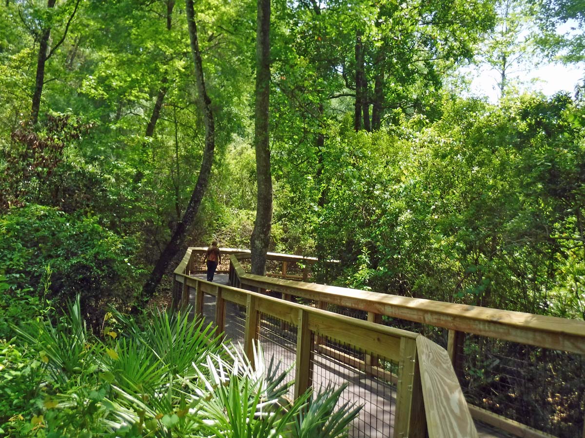 14 North Florida State Parks with camping 6 gold head branch state park
