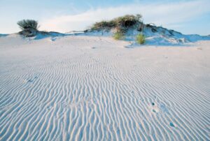 Dunes at Grayton Beach