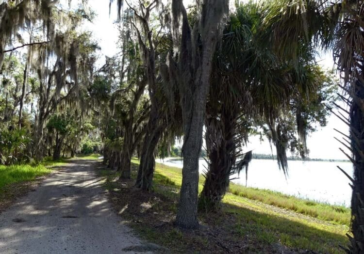 Florida's 12 best county parks are treasures 1 hardee lakes park