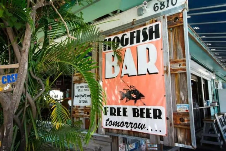 Conch Republic translator: A hogfish is a tasty local fish after which the popular Hogfish Bar and Grill is named. It's located on Stock Island.