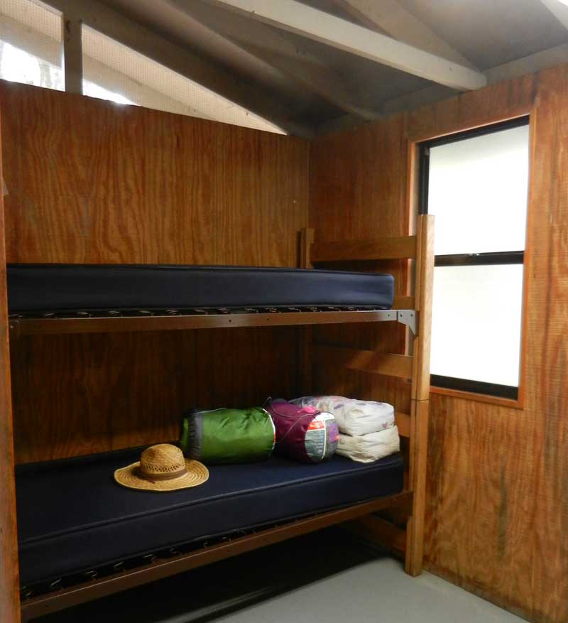 Bunks in cabin at Hontoon Island State Park
