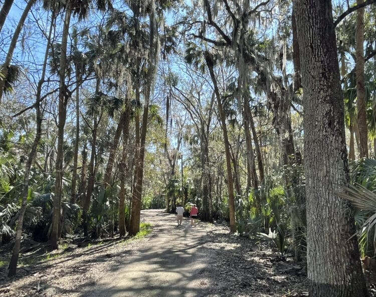 Hiking trail at Hontoon Island State Park Hiking trail at Hontoon Island State Park. (Photo: Bonnie Gross)