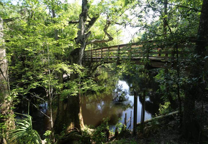 Hillsborough River State Park hrsp bridge trail Hillsborough River State Park adds 'glam' to its camping options