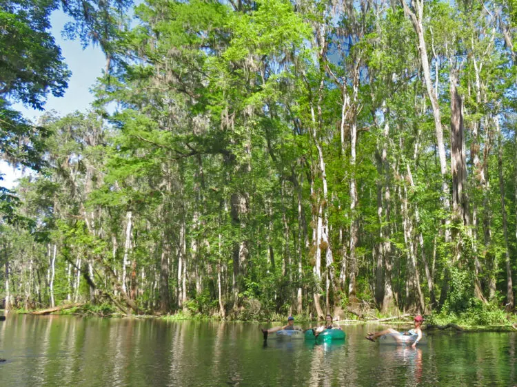 tubing in florida ichtucknee tubers Best tubing in Florida: 4 beautiful springs and 2 rivers with pure white sandbars