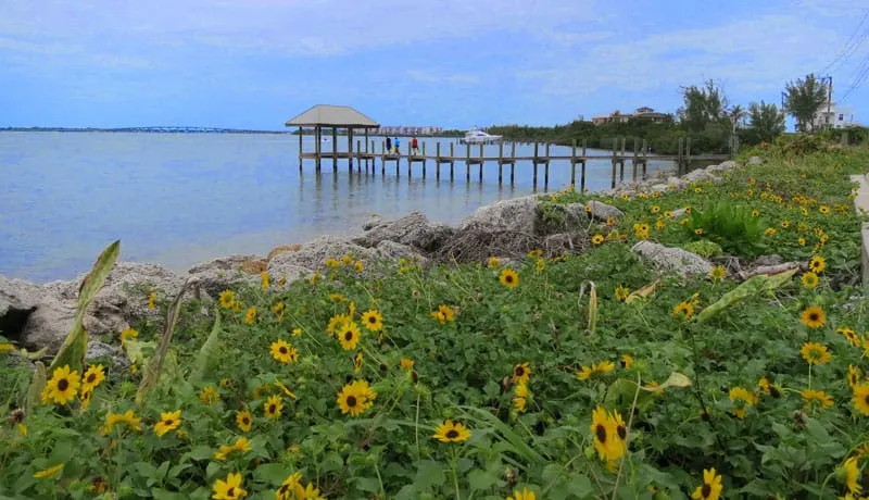 Scenic drives Florida: Along the Indian River Lagoon from Stuart to Fort Pierce. (Photo: Bonnie Gross)