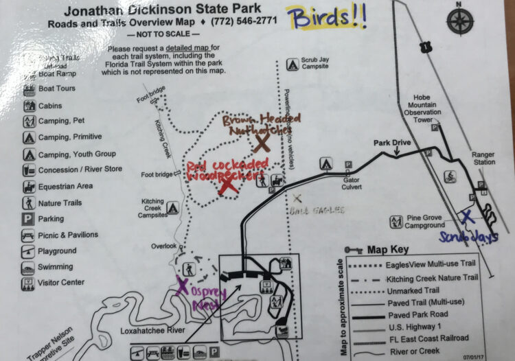 Jonathan Dickinson State Park trail map with locations marked  where you should watch for specific bird species.