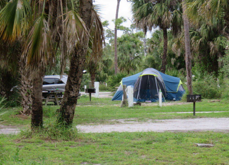 Jonathan Dickinson State Park jonathan dickinson riverside campsite Jonathan Dickinson State Park: A Florida treasure