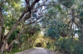 Historic Jungle Trail in Vero Beach.