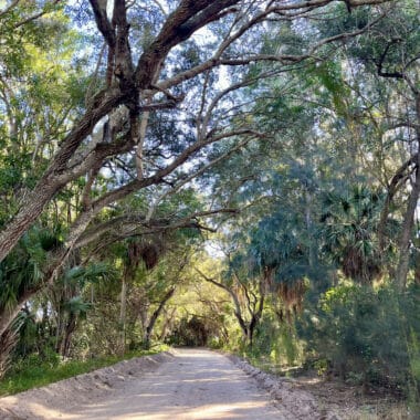 Historic Jungle Trail in Vero Beach.