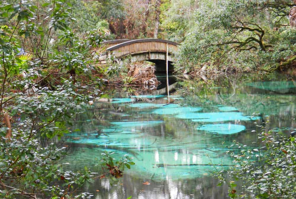nature trail bridge at Juniper Springs outdoor things to do