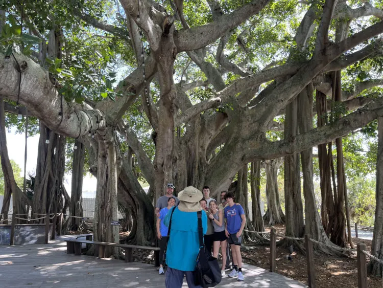 The giant banyan tree at the base of the lighthouse was planted in 1938 by Jupiter pioneer Roy Rood. The Rood family runs a landscaping business in North County. There is a pavilion in DuBois Park named after the Rood family.