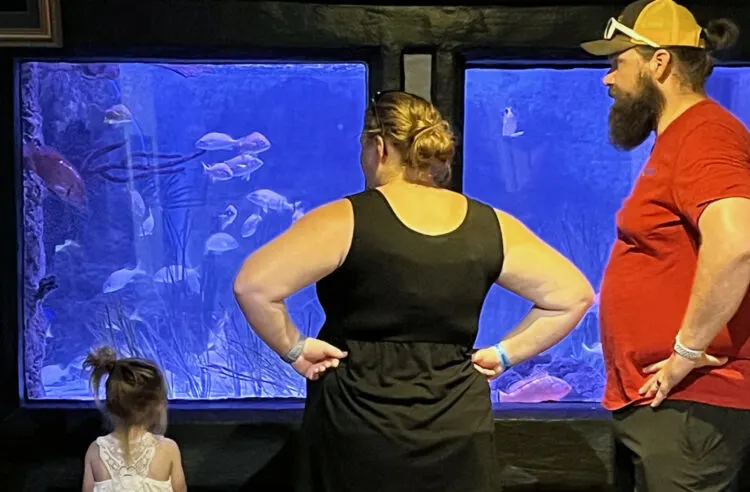 Family looking in one of the aquarium tanks at Key West Aquarium. (Photo: Bonnie Gross)