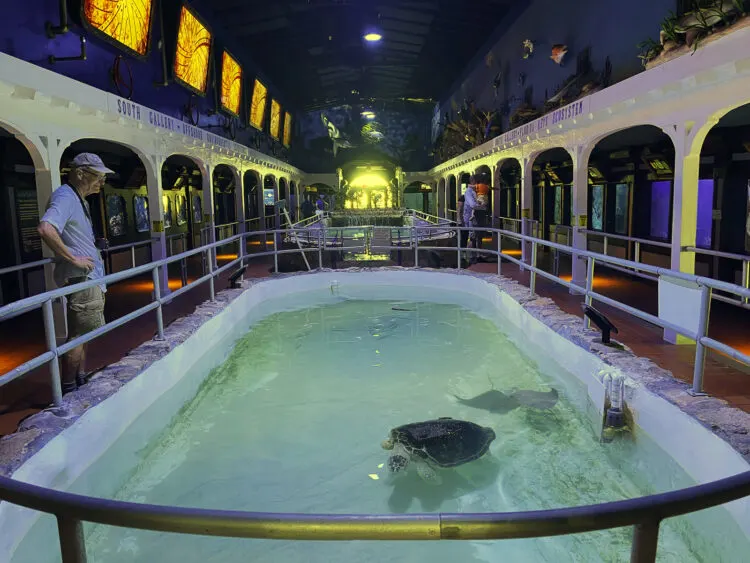 Interior of the Key West Aquarium with sea turtle and ray in a central tank. (Photo: Bonnie Gross)