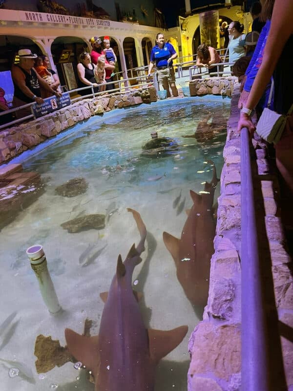 Key West Aquarium is small but historic, interesting & fun