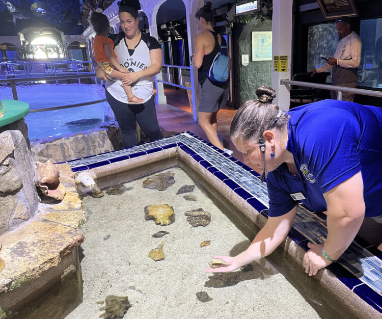 Touch tank at the Key West Aquarium with museum educator talking about the live shells. (Photo: Bonnie Gross)