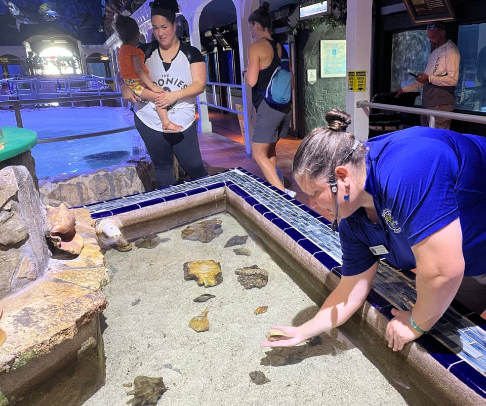 Key West Aquarium is small but historic, interesting & fun