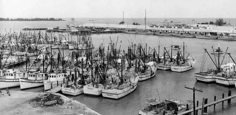 Shrimp boats in Key West Historic Seaport in the 1960s. (Photo: Florida Memory Project)