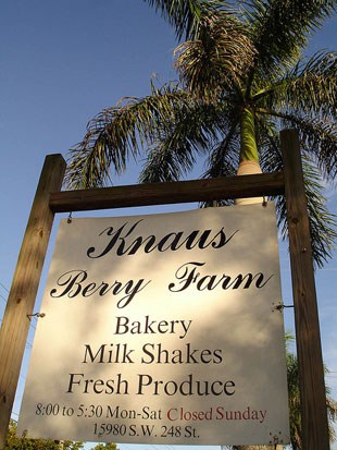 Knaus Berry Farm sign