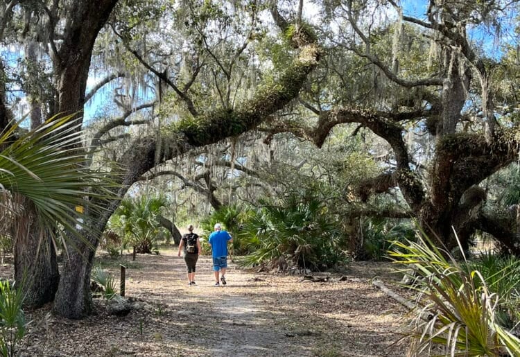 Lake Kissimmee State Park: Away from it all and back in time 3 Hiking at Lake Kissimmee State Park: There are 13 miles of trails. While hiking through the towering live oaks strung with Spanish moss, you might see deer, turkeys, armadillos or gopher tortoises, all of which are commonly seen. (Photo: Bonnie Gross)