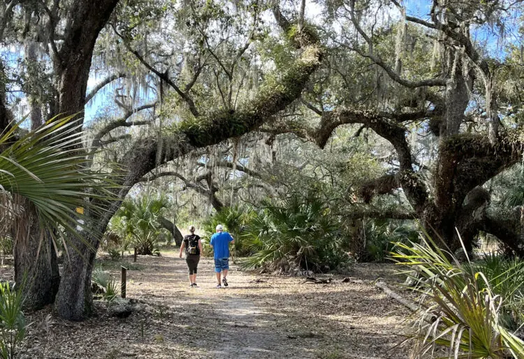 Hiking at Lake Kissimmee State Park: There are 13 miles of trails. While hiking through the towering live oaks strung with Spanish moss, you might see deer, turkeys, armadillos or gopher tortoises, all of which are commonly seen. (Photo: Bonnie Gross) 