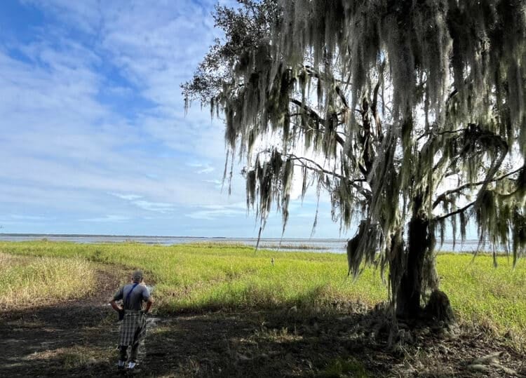 Lake Kissimmee State Park: Away from it all and back in time 10 The Gobbler Ridge Trail takes you to the shores of Lake Kissimmee. (Photo: Bonnie Gross)