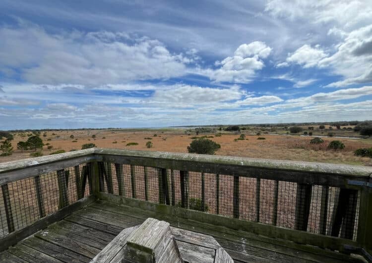 Lake Kissimmee State Park: Away from it all and back in time 4 A three story tower, reachable along the Gobbler Ridge Trail or from the picnic area, has a sweeping view of the prairie and the distant Lake Kissimmee. (Photo: Bonnie Gross)