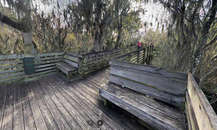 Best boardwalks in Florida provide easy access for all 12 Lettuce Lake boardwalk in Tampa.