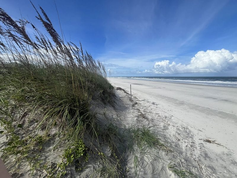 A1A Ocean Islands Trail takes you on a scenic byway along North Florida coast 6 The beach at Little Talbot Island State Park is broad, hard-packed and lined with picturesque sand dunes. (Photo: Bonnie Gross)