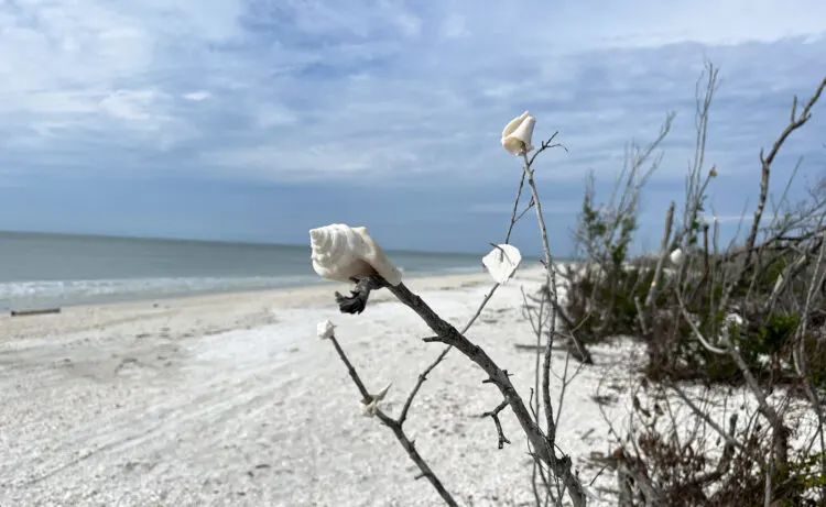 Lovers Key State Park in Fort Myers Beach. (Photo: Bonnie Gross)