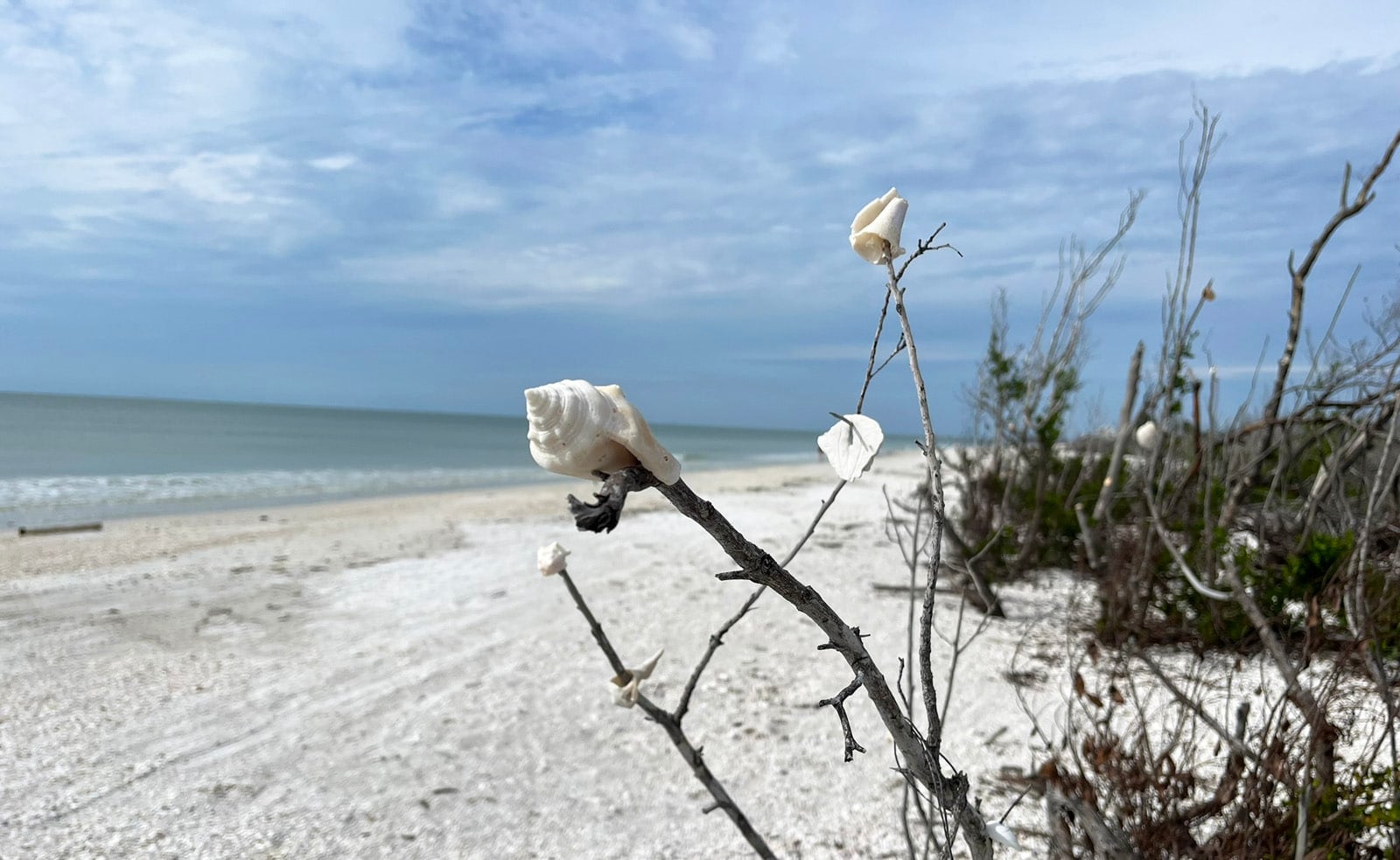 Lovers Key State Park