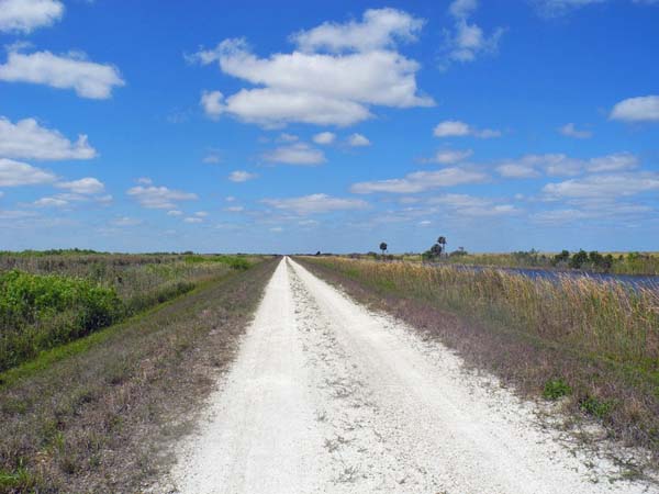 The long road west on the berm at the Loxahatchee National Wildlife Refuge