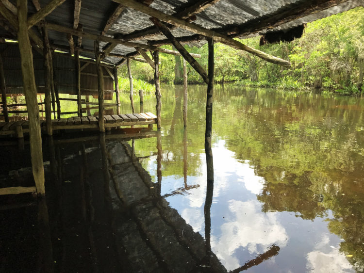 After two or three hours of Loxahatchee Rivre kayaking, you reach Trapper Nelsons, home of the legendary "wildman" who was actually a pretty canny businessman. (Photo: Bonnie Gross)