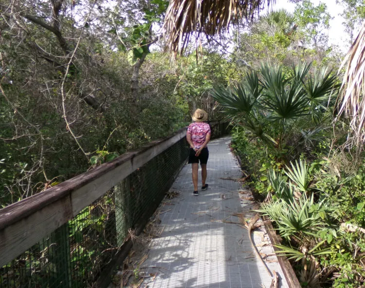 Boardwalk through the jungle on Munyon Island, a part of John D. MacArthur Beach State Park. (Photo: David Blasco.)