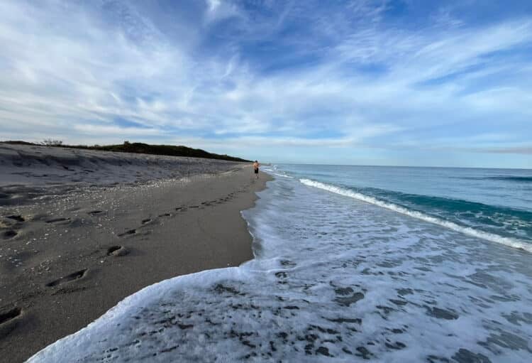 John D. MacArthur Beach Park: Perfect blend of kayaking, snorkeling, beach 3 Deserted section of the beach at John D. MacArthur Beach State Park. (Photo: Bonnie Gross)