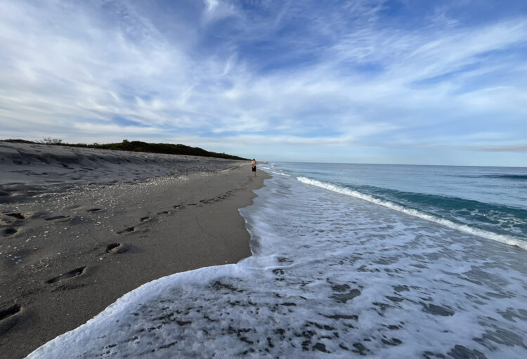 Deserted section of the beach at John D. MacArthur Beach State Park. (Photo: Bonnie Gross)