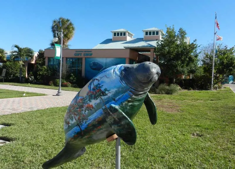 fort pierce manatee center fort pierce Fort Pierce breathes new life into Old Florida