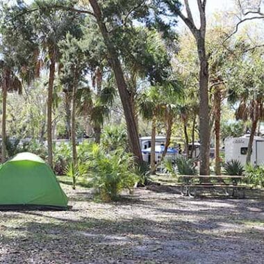 manatee hammock campground