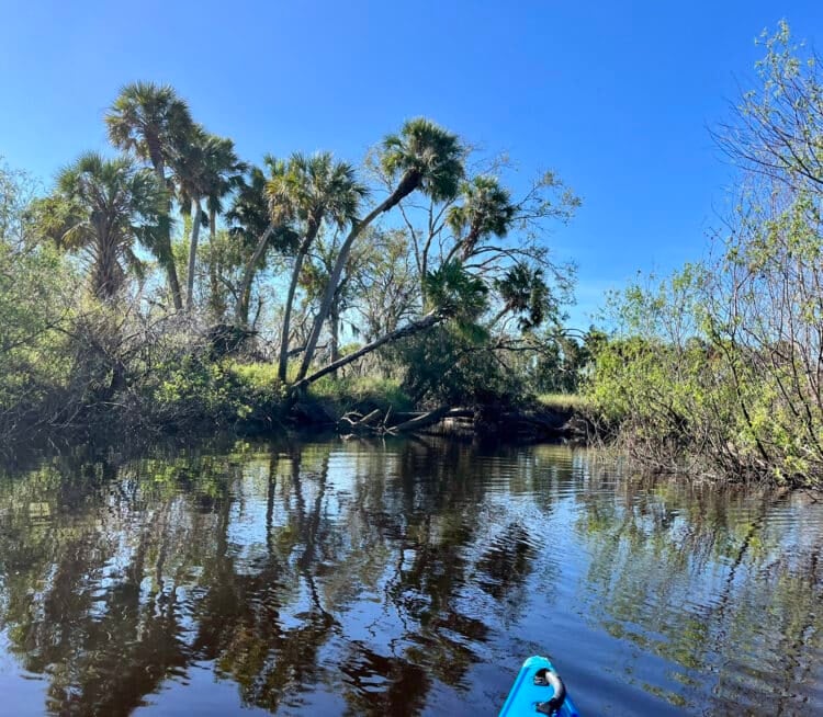 Myakka River State Park: One the best state parks for wildlife, hiking, kayaking & camping 10 Kayaking on Myakka River. (Photo: Bonnie Gross)