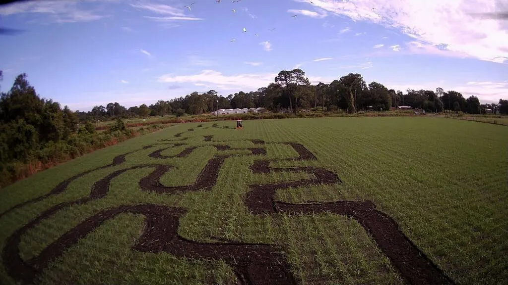 An aerial view of the maze at Long & Scott Farms’ harvest festival. Photo courtesy Long & Scott Farms.