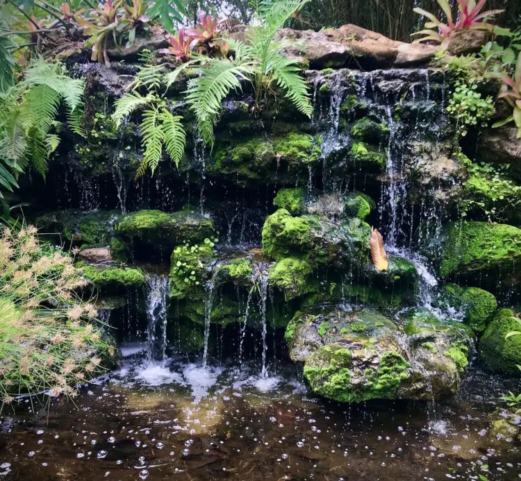 Waterfalls at McKee Botanical Garden are part of its architectural heritage but also managed by a sophisticated system of water management system that runs 800,000 of well water through the ponds and streams. (Photo: Bonnie Gross) 