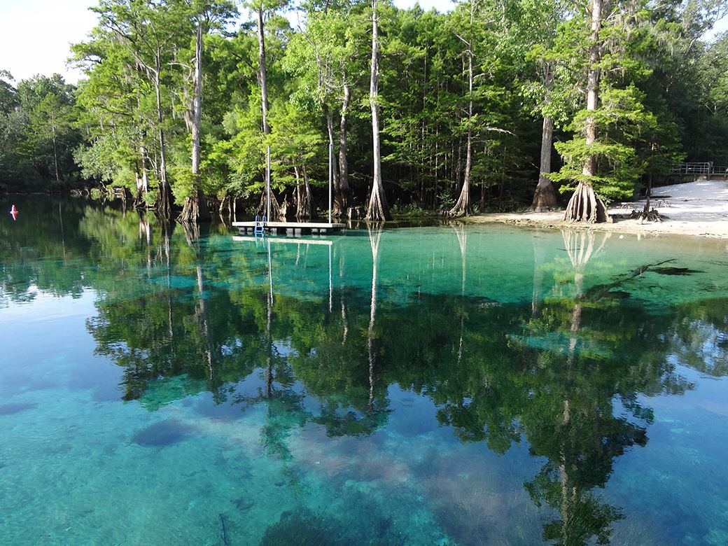best springs in florida morrison springs Cool Escapes: The best springs in Florida for swimming, tubing, snorkeling, diving ...