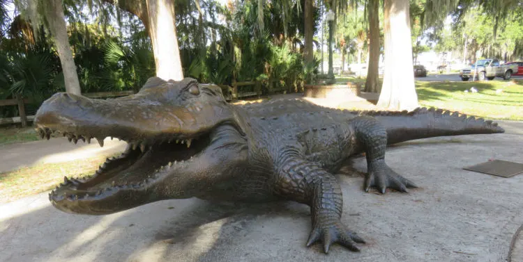 Old Joe honors a famous alligator of bygone days. You'll find his bronze statue along the path along the lake as you approach Palm Island Boardwalk. (Photo: David Blasco)