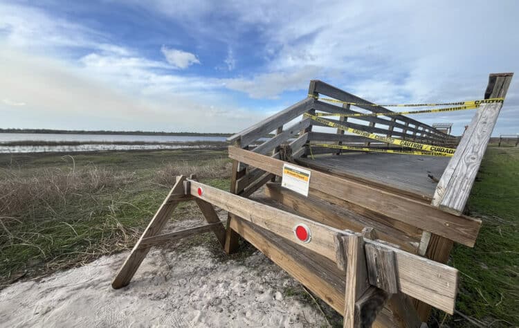 Myakka River State Park: One the best state parks for wildlife, hiking, kayaking & camping 7 The closed Birdwalk at Myakka River State Park. (Photo: Bonnie Gross)