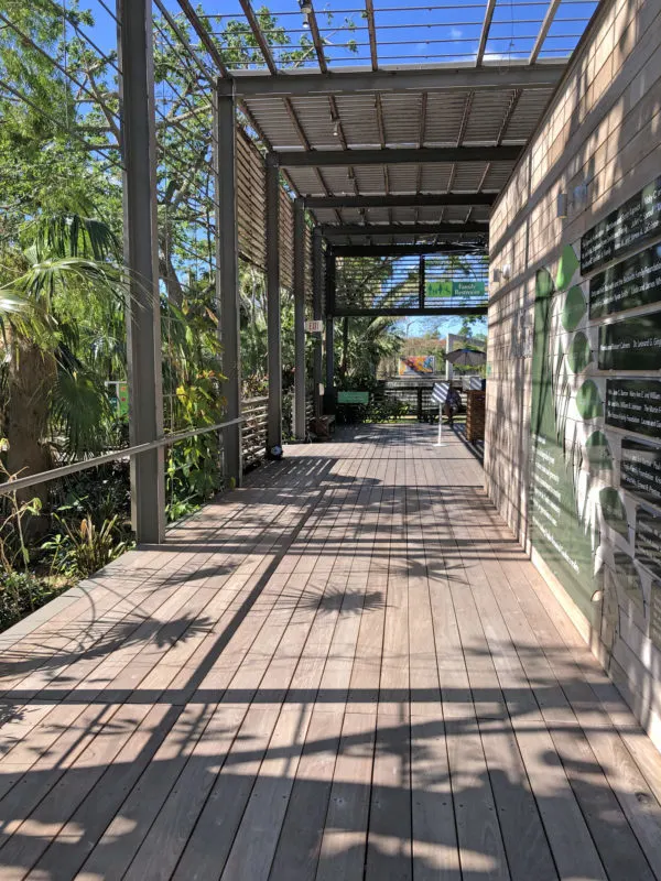 You can see antique or sinker cypress used in the construction of the Naples Botanical Garden’s Visitor Center. Photo by Deborah Hartz-Seeley.
