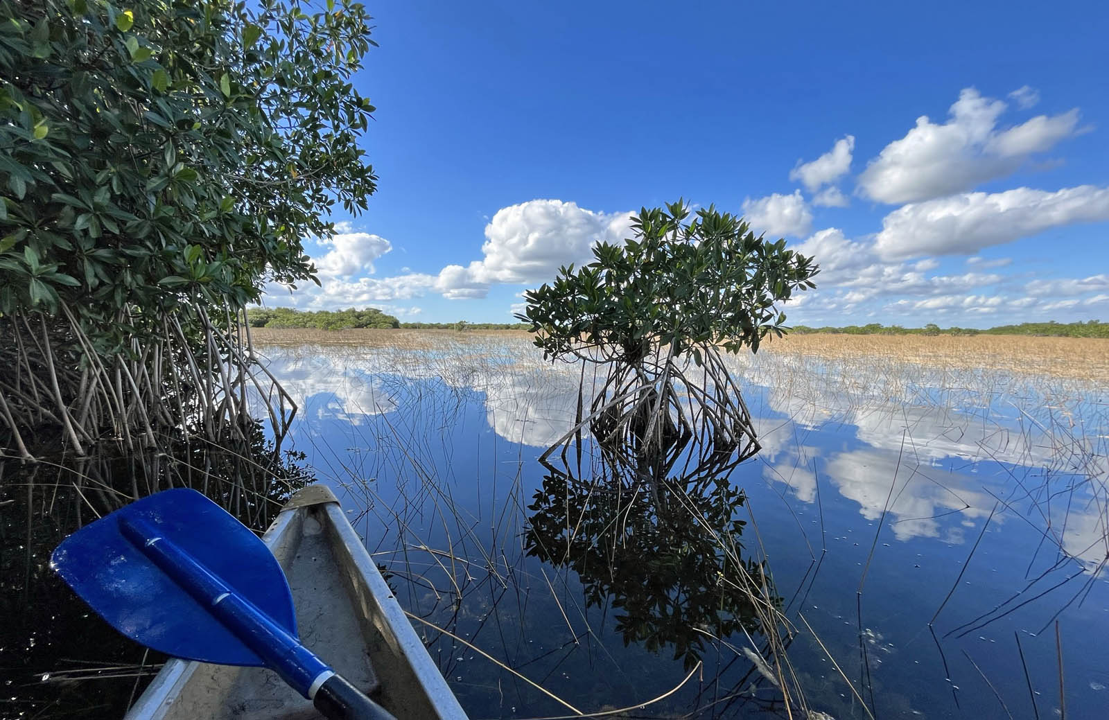 Everglades National Park canoe trail Exploring Nine Mile Pond