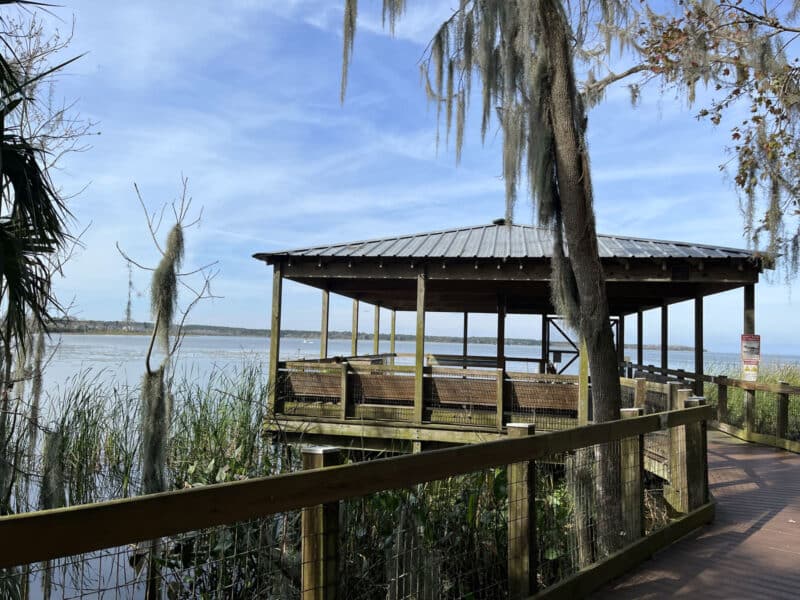 Oakland Nature Preserve near Orlando