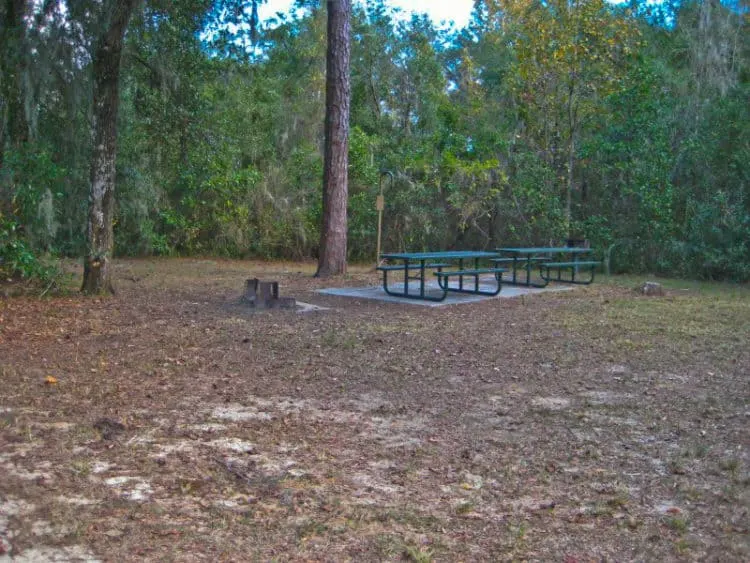 ocala national forest camping ocalanf fore lake Ultimate guide to Ocala National Forest camping