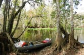 Paddling on the Ocklawaha.