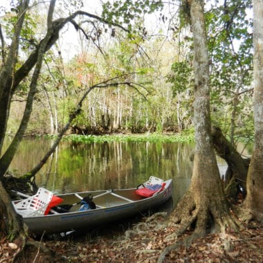 Paddling on the Ocklawaha.