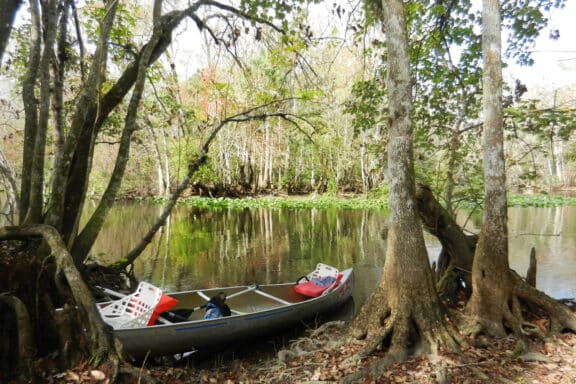 Paddling on the Ocklawaha.